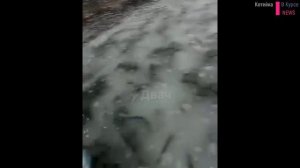 Жители Сахалина начали ловить сельдь руками