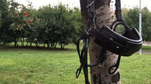 Хакамора или Сайд-пулл - что выбрать?