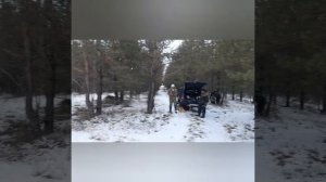 охота на зайца