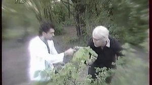 Ленин в Разливе (Городок #2, 1993 год)