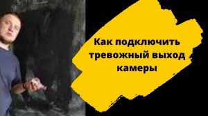 Инструкция как использовать тревожный выход камеры, схема подключения к alarm out