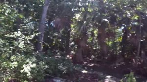 СНОРКЛИНГ НА ЛАНГКАВИ