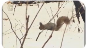 урок 1 Абиотические факторы