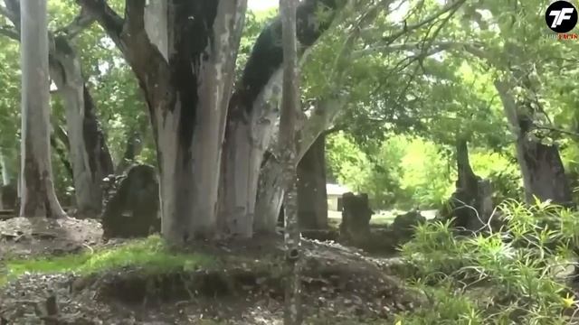 Как ЭТО Возможно? Новые Открытия в Африке, Которые Испугали Ученых смотреть онлайн