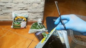 Грунт для цитрусовых