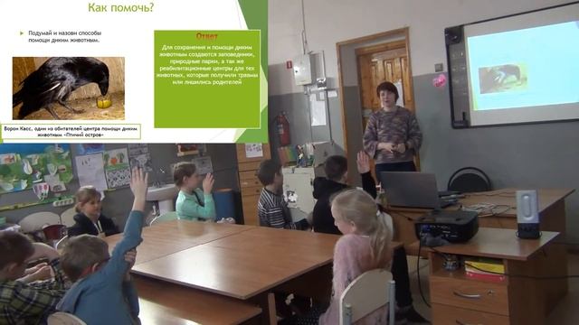 Занятия с учащимися клуба биоблогеров 8-12 лет, педагог Смолянинова Анна Вячеславовна