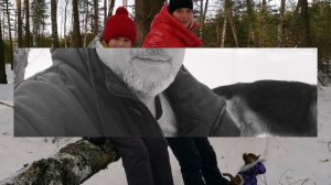 КАСИМОВ, ВЕСЕННИЙ ЛЕС, ГУЛЯЕМ, БАЖЕНОВСКИЕ КУРГАНЫ.