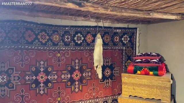 ШЫМКЕНТ. ЕСТЬ ЛИ ВОСТОЧНОЕ ГОСТЕПРИИМСТВО?АВТОСТОП 4. Мастер Рэм Казахстан 2023 г. смотреть онлайн