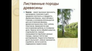 СВОЙСТВА ДЕРЕВА 6 класс технология