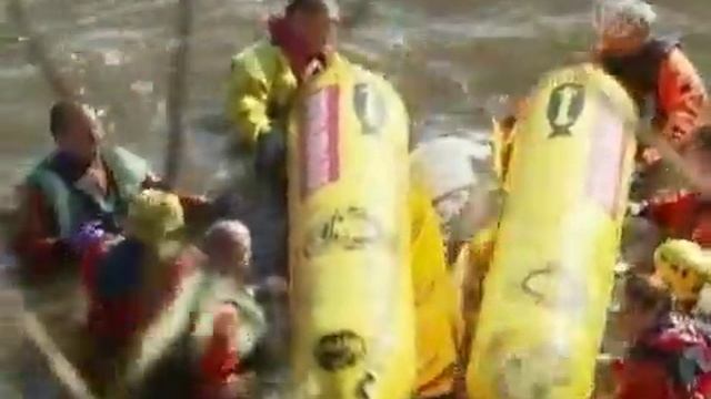 Сразу 26 китов-гринд выбросились на берег Шотландии смотреть онлайн