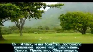 Сура Аль Хашира аят 21-24