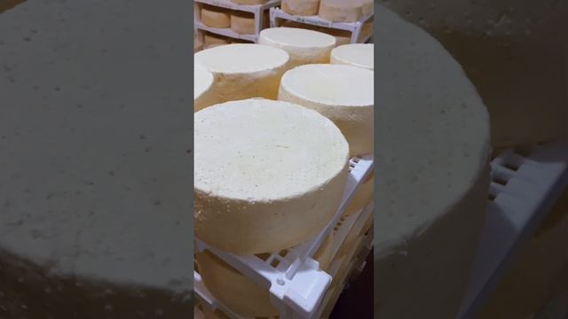 В чем разница между твердым и полутвердым сыром? смотреть онлайн