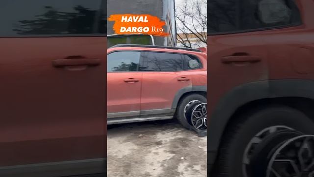 HAVAL DARGO на примерке