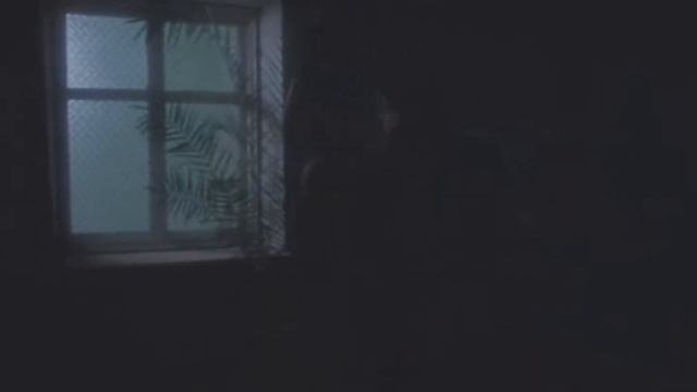 Асса #асса#бугаев#алика#цойжив