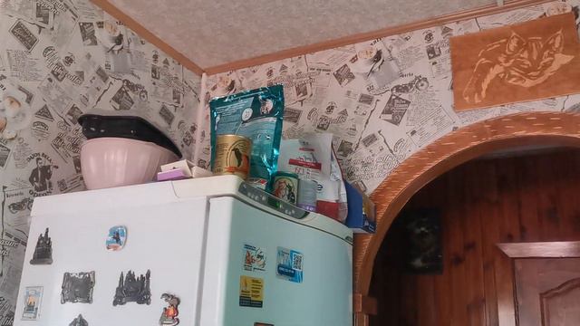 Простой способ посадки рассады томатов. смотреть онлайн