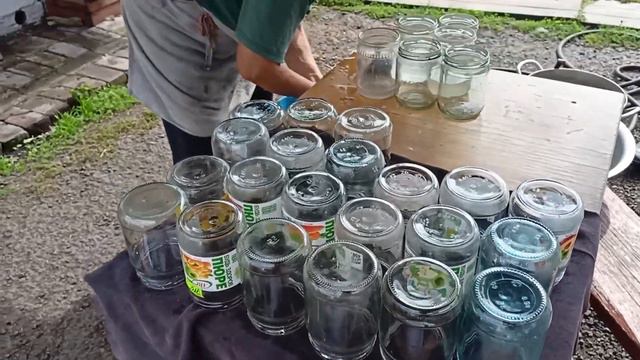 Зелёные помидоры смотреть онлайн