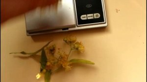 Сколько липы заготовить на год для семьи. Вес липового цветка.