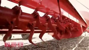 Прицепной кормоуборочный комбайн Sterh 2000