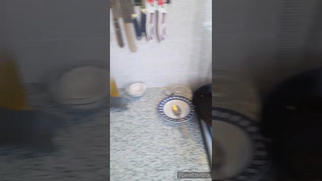 дождь выгнал с огорода//что на обед?//наш огород и двор//(1 год назад)
