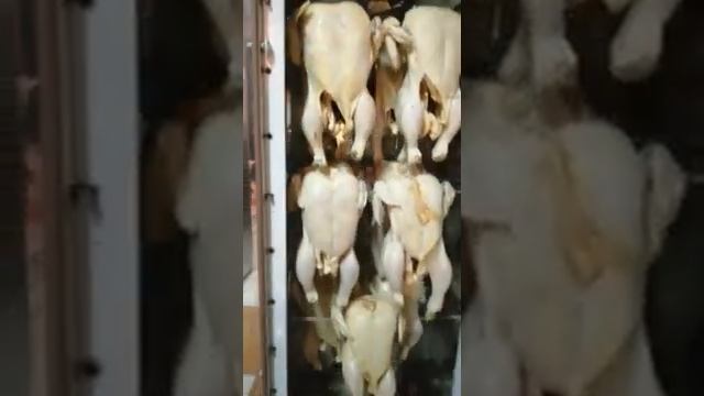 Сушильно-вялочный шкаф Москит 29 декабря 2021 г. смотреть онлайн