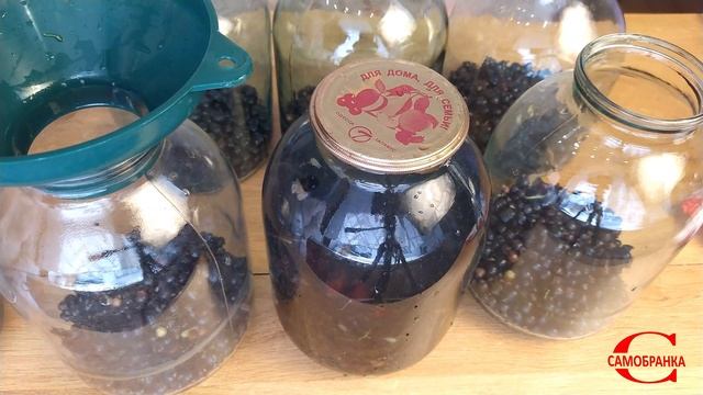 КОМПОТ ИЗ ЧЕРНОЙ СМОРОДИНЫ/BLACK CURRANT COMPOTE смотреть онлайн