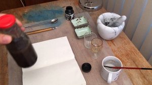 Делаю и тестирую чернила из гриба Coprinus Atramentarius (Навозник Серый)