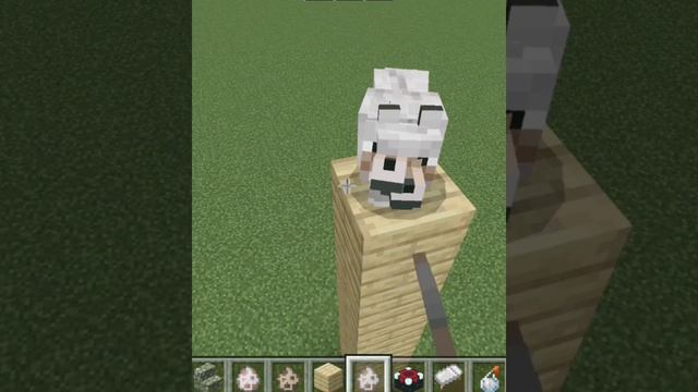 minecraft super dog#youtubeshots #minecraft#gaming #shots смотреть онлайн