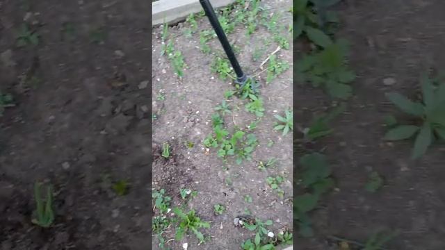 Культиватор мини с выдвижной ручкой "ТОРНАДО" смотреть онлайн