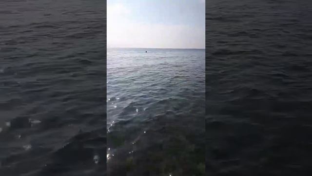 Одесса море 4 Августа.