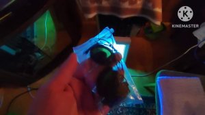 Обогащаюсь на мусорках Москвы. У дачный обзор. Макулатурный дебют.