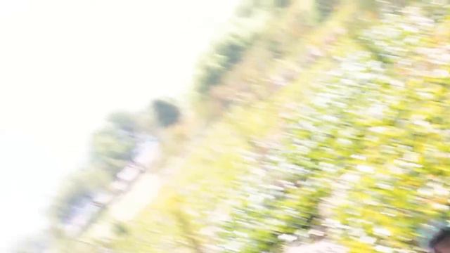 SABIAS PALABRAS 2 - JOSEE GARCIA FT. ALEXIS CHAIRES (VÍDEO OFICIAL) смотреть онлайн