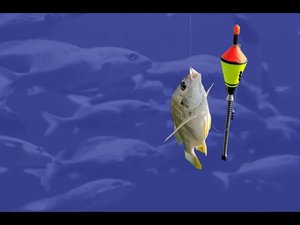 Самоподсекающий поплавок Float Bobber. Обзор. Отзывы. Купить