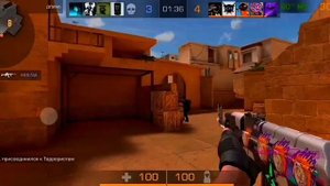 Запрети мне носить Stone Island??