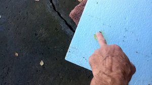 Средство для мытья ульев из ППС