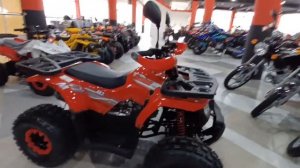 Квадроцикл TAO Motor Hunter 125 (Хантер 125)