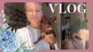VLOG 27.04.2024 Дышим с Тедди воздухом