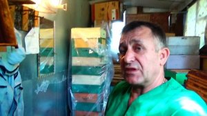 Как сохранить суш, от моли