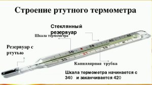 Лабораторный практикум. Правила измерения температуры тела человека