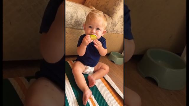 #подпишись #кайф #лето #счастье #дочка ##папа #лайк #miyagi #россия #дача смотреть онлайн