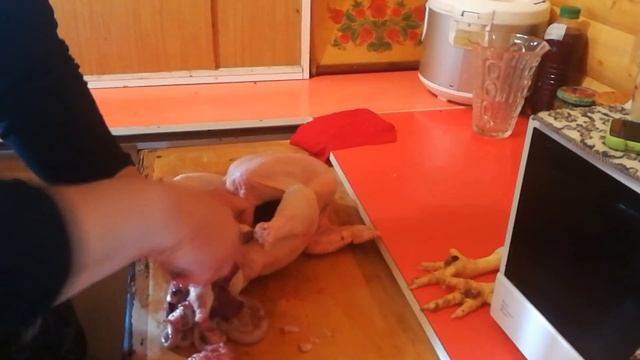 Забой кур (бройлеров) от А до Я смотреть онлайн