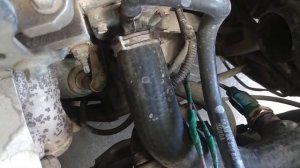 Троит Ford Escort, ошибок нет, дует шланги