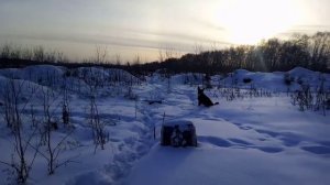 Тест пуль Borner Hollow point 0,58 грамм