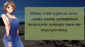 Две пожилые дамы втискиваются в переполненный автобус. Подборка смешных анекдотов