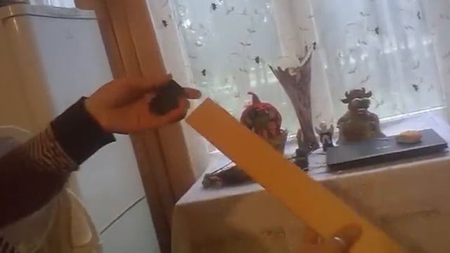 Что такое ламели?? смотреть онлайн