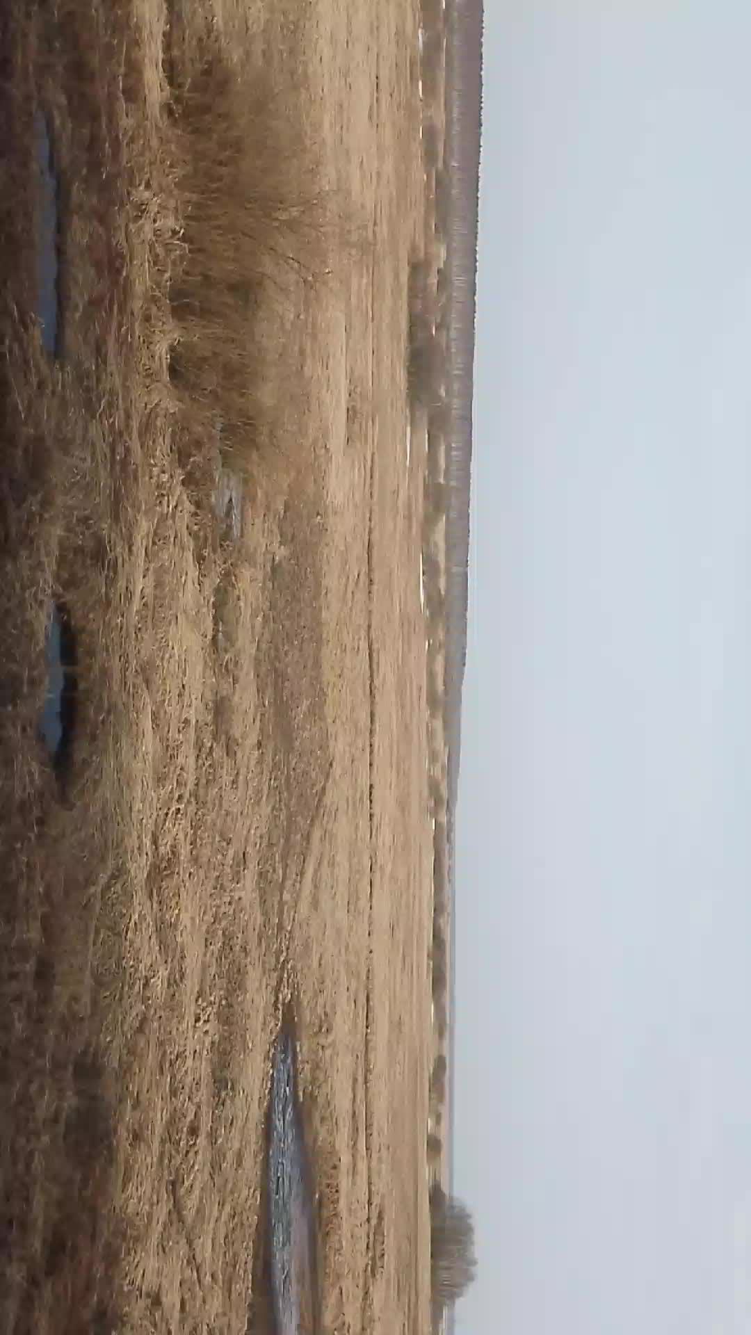 м
