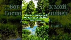 Очень Красивая песня Далеко-далеко Журавли улетели