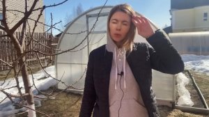 Это ПРОСТОЕ СРЕДСТВО избавит сад от болезней и вредителей. БЕЗОПАСНО И ЭФФЕКТИВНО