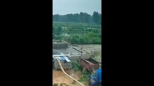 Повезло рыбакам.