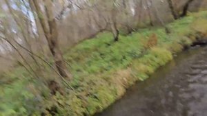 ИЖ ОДА УНИЗИЛ НИВУ НА БЕЗДОРОЖЬЕ! БЕЗУМНАЯ ЗАРУБА!