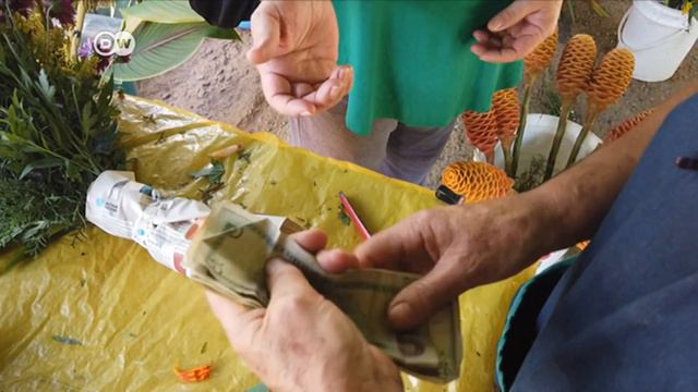 Venezuelans Transition from the Bolivar to the US Dollar